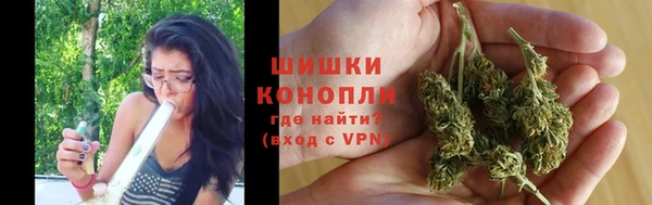 крисы Нязепетровск