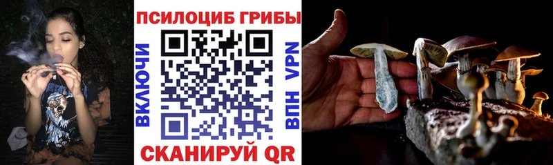 Псилоцибиновые грибы ЛСД  Мосальск 